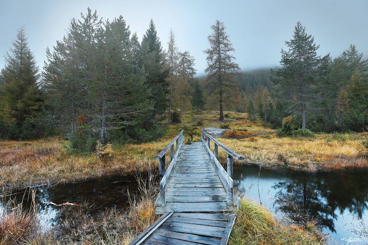 swiss, Матвеев Николай