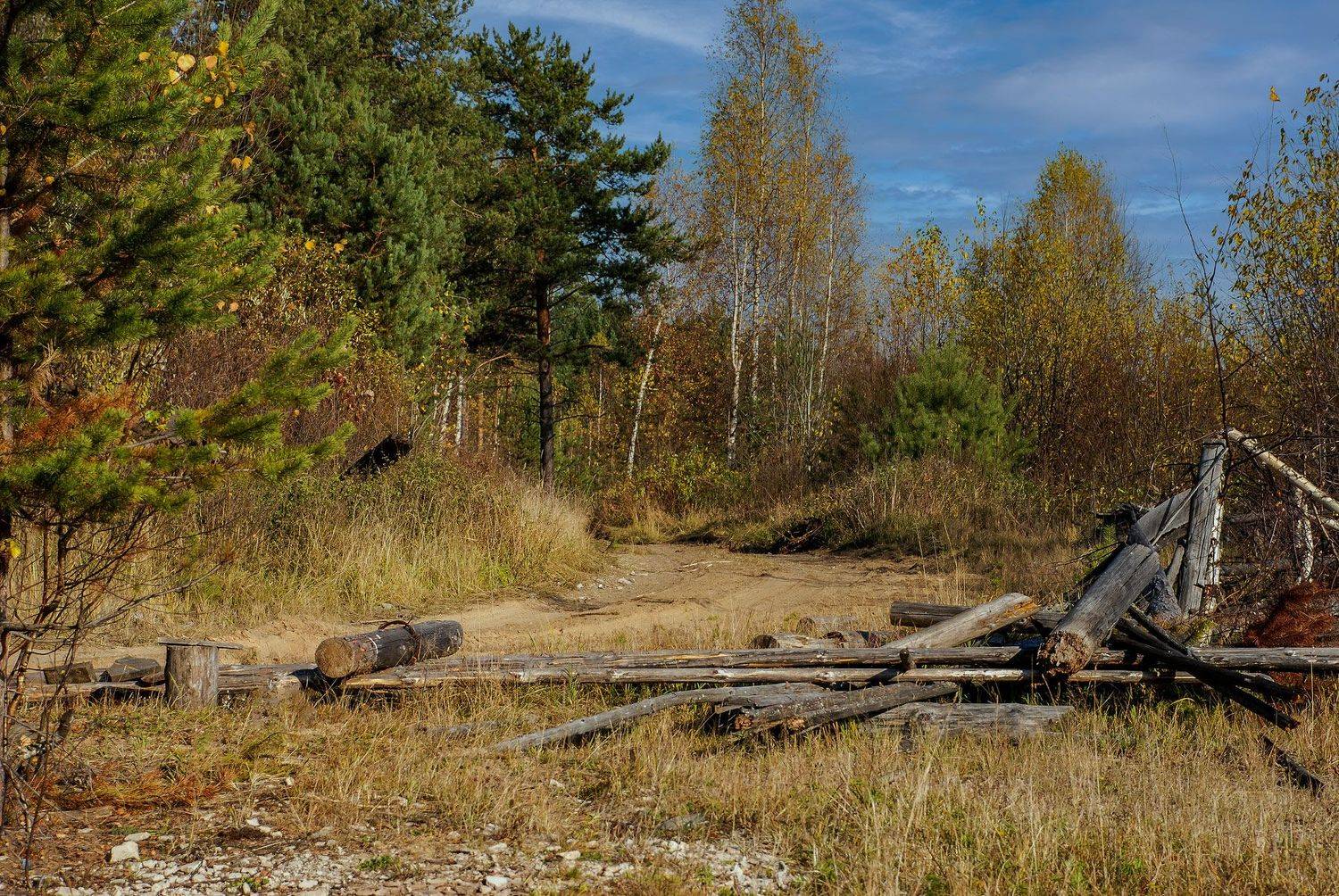 , Владимир Гамаюнов