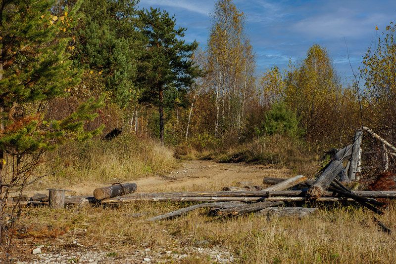 Вятские леса фото превью