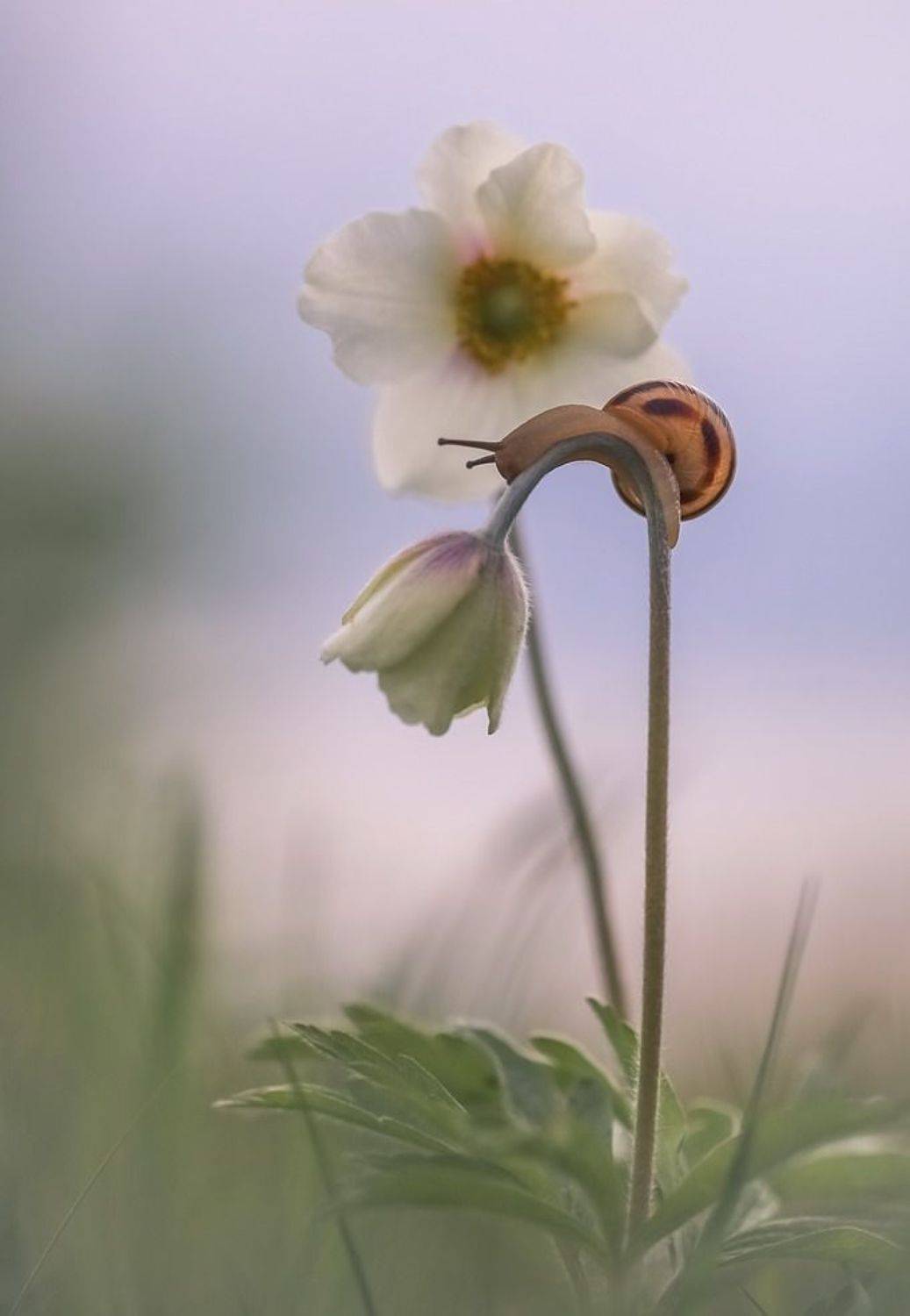 , Вячеслав Мищенко