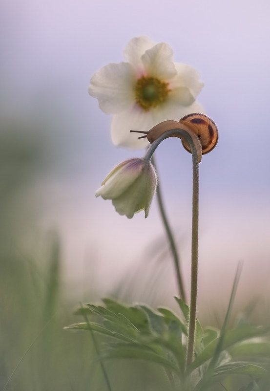 Не все дороги гладкие... фото превью