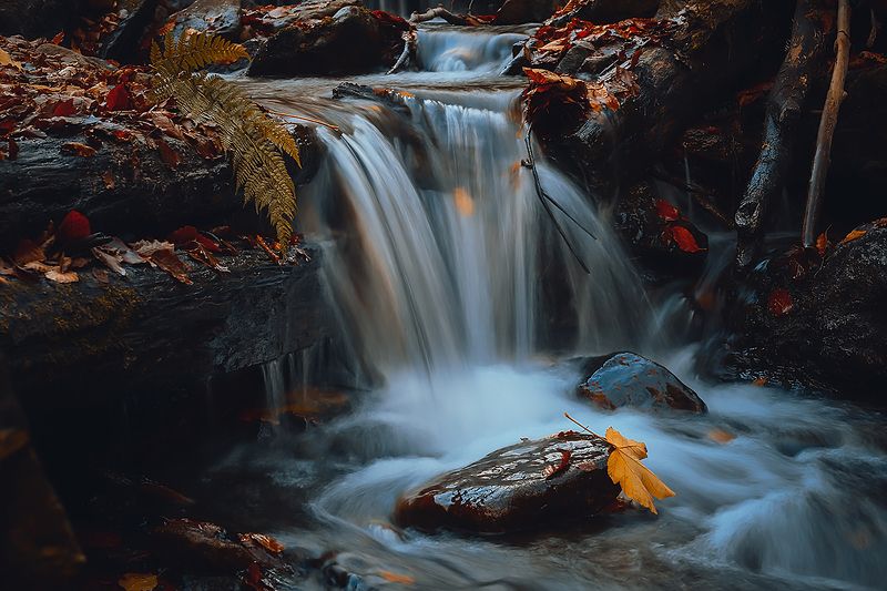 Autumn фото превью