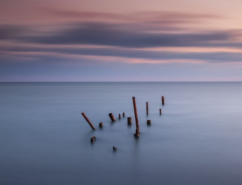 Морской ёж фото превью