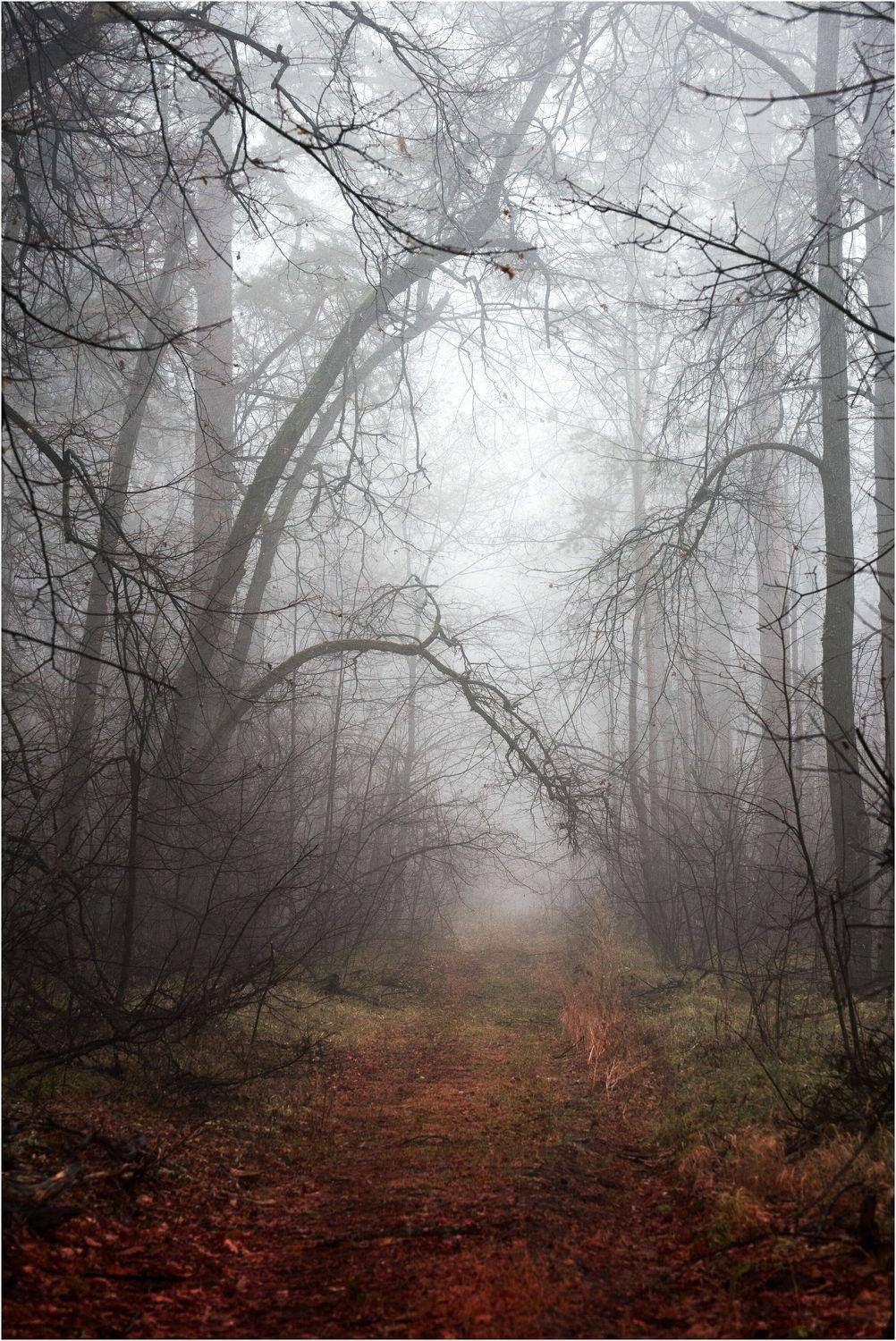 , Владимир Краснов