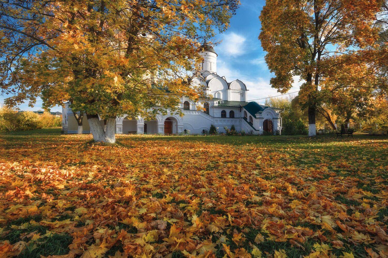 осень,клён,листья,храм,небо,облака, Виталий Полуэктов