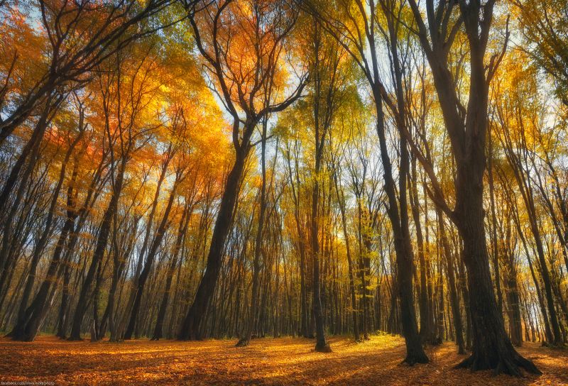 Осеннее настроение фото превью