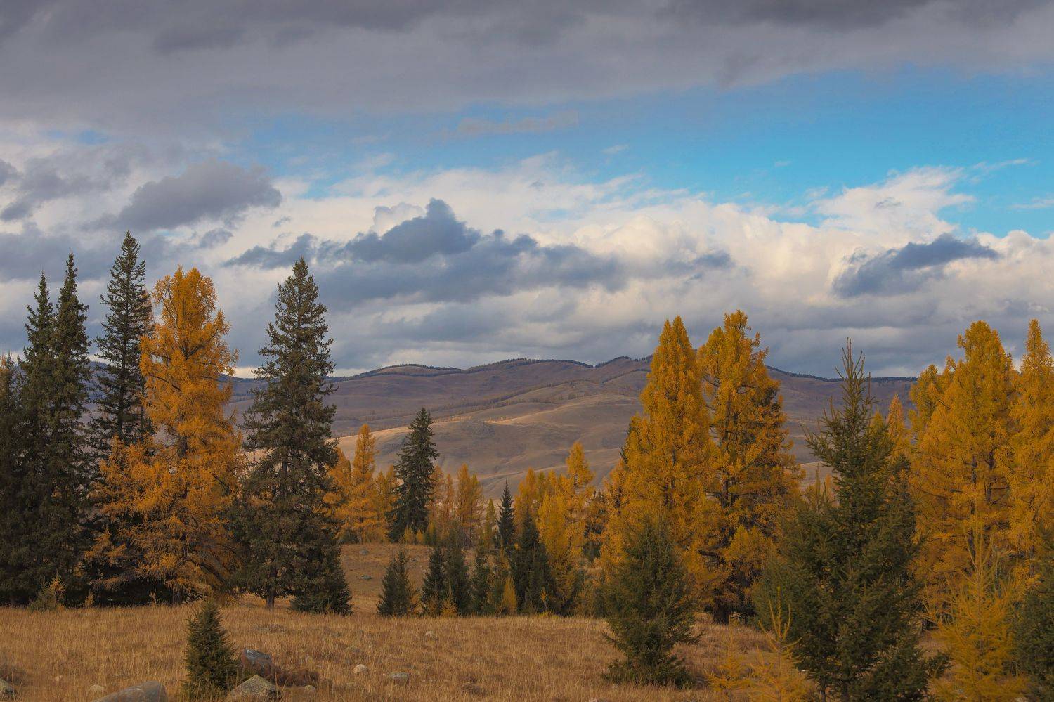 , Константин Буркин