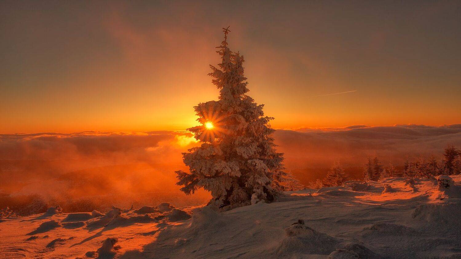 landscape,winter,mountains,canon, Iza i Darek Mitręga