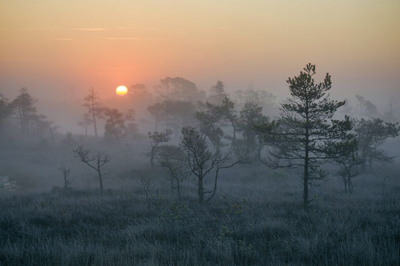 KEMERI фото превью