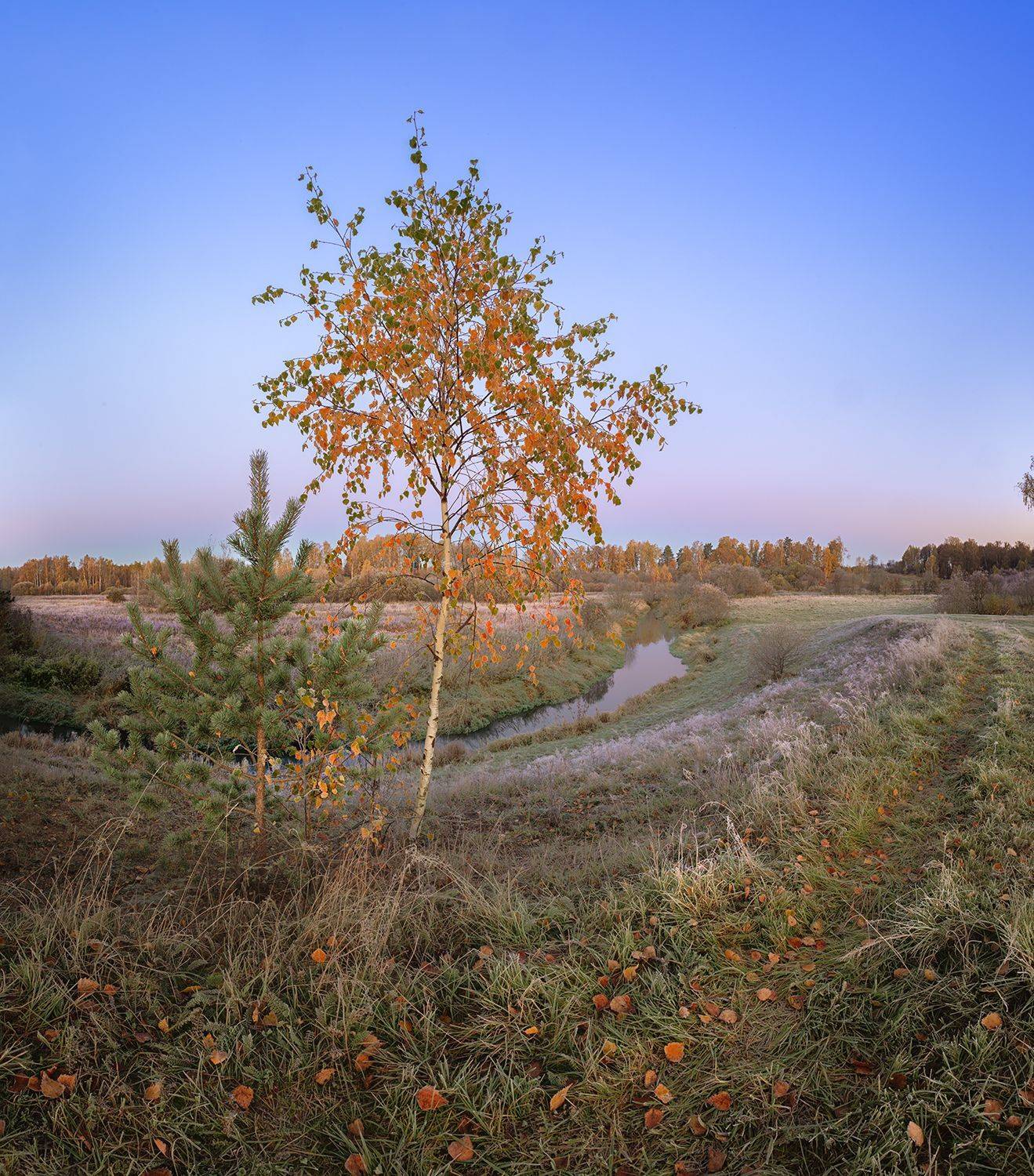 , Николай Андреев