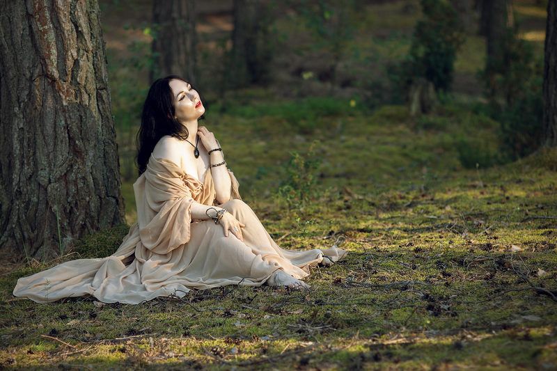 Лесные прогулки фото превью