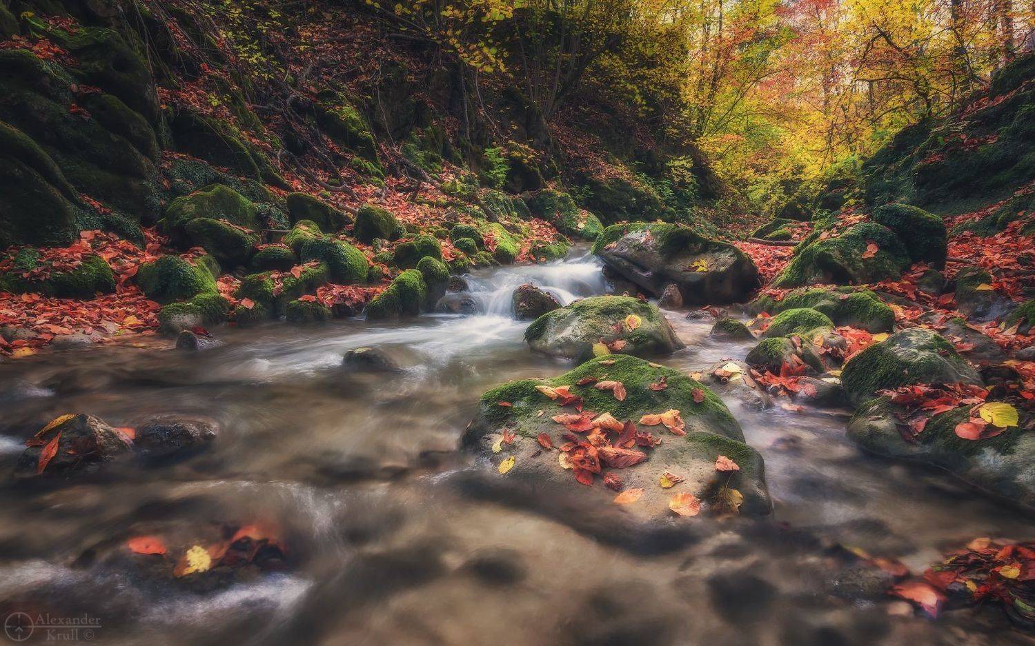 мишоко, Александр Круль