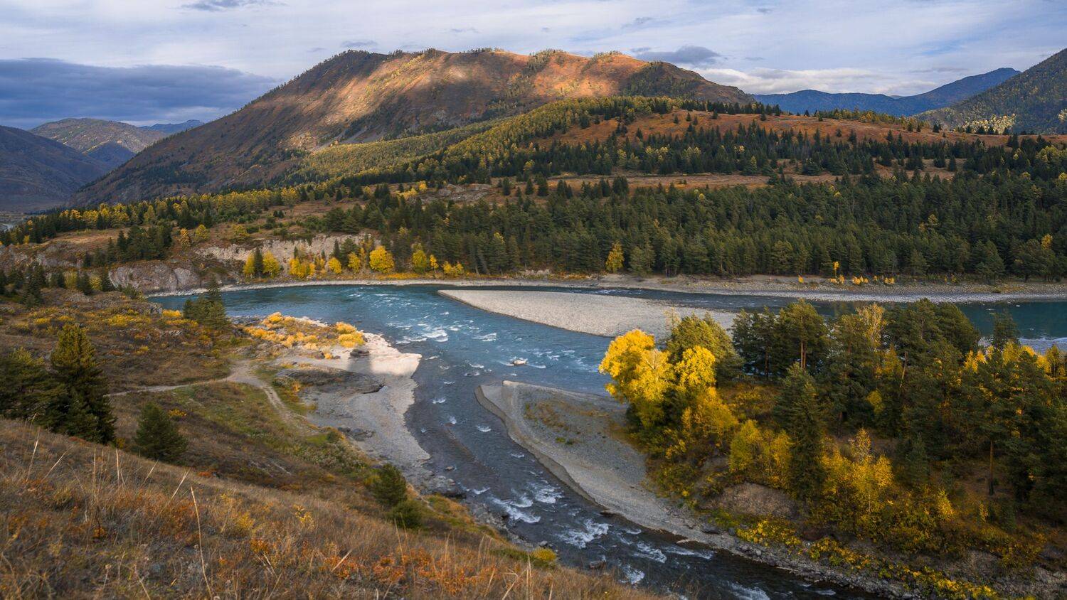 россия, горный алтай, река катунь,река урсул, впадение, осень, Андрей Поляков