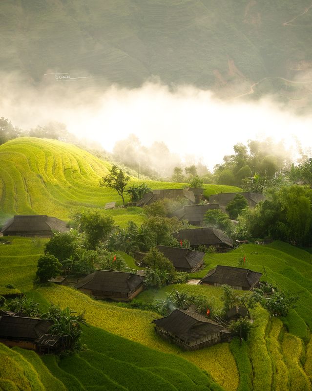 Ban Phung 05 фото превью