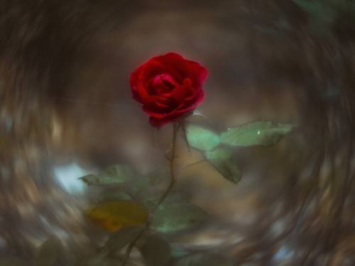 Сквозь призмы октября-акварелиста.