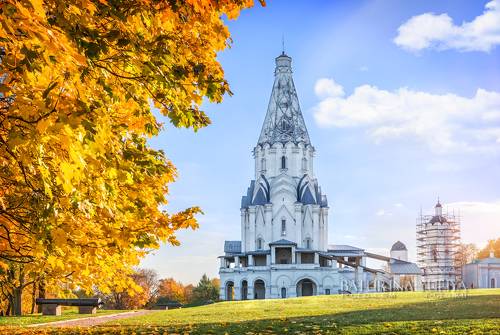 Под сенью клена