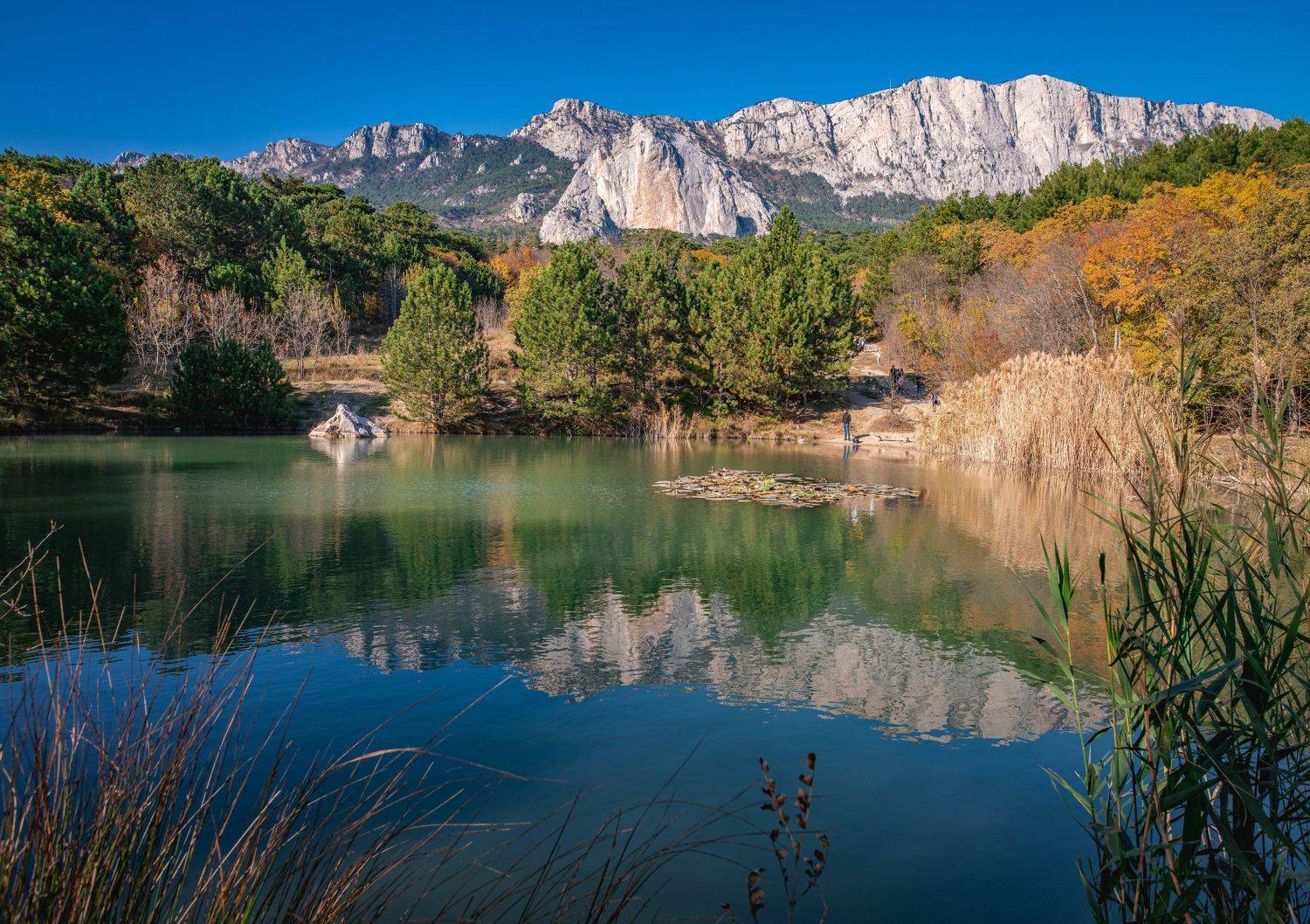 , Игорь Прошаков