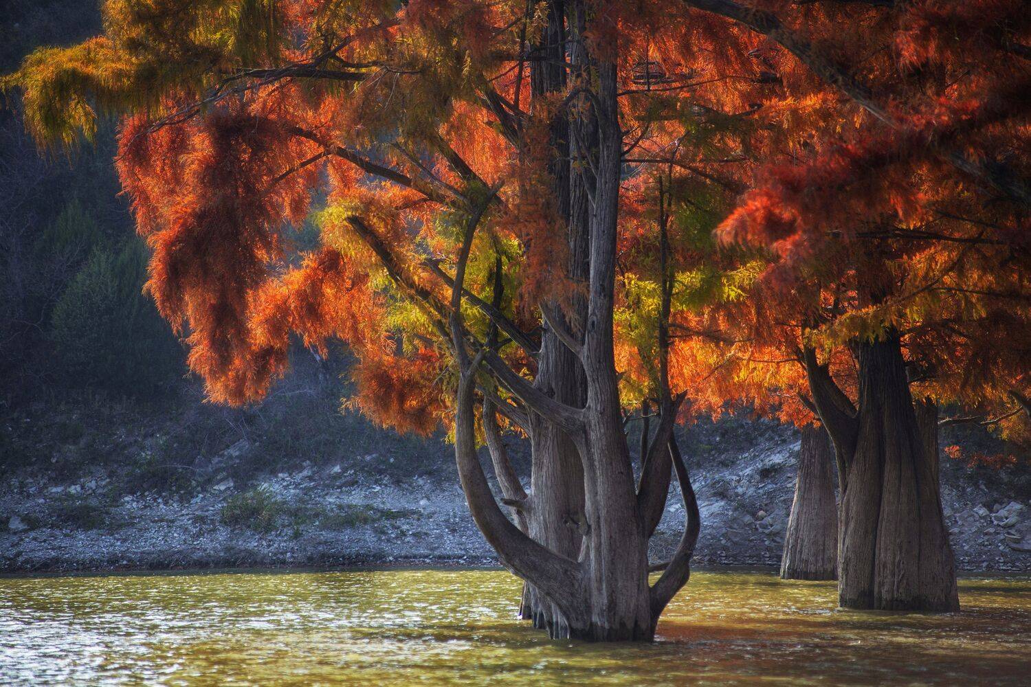 , Павел Сагайдак
