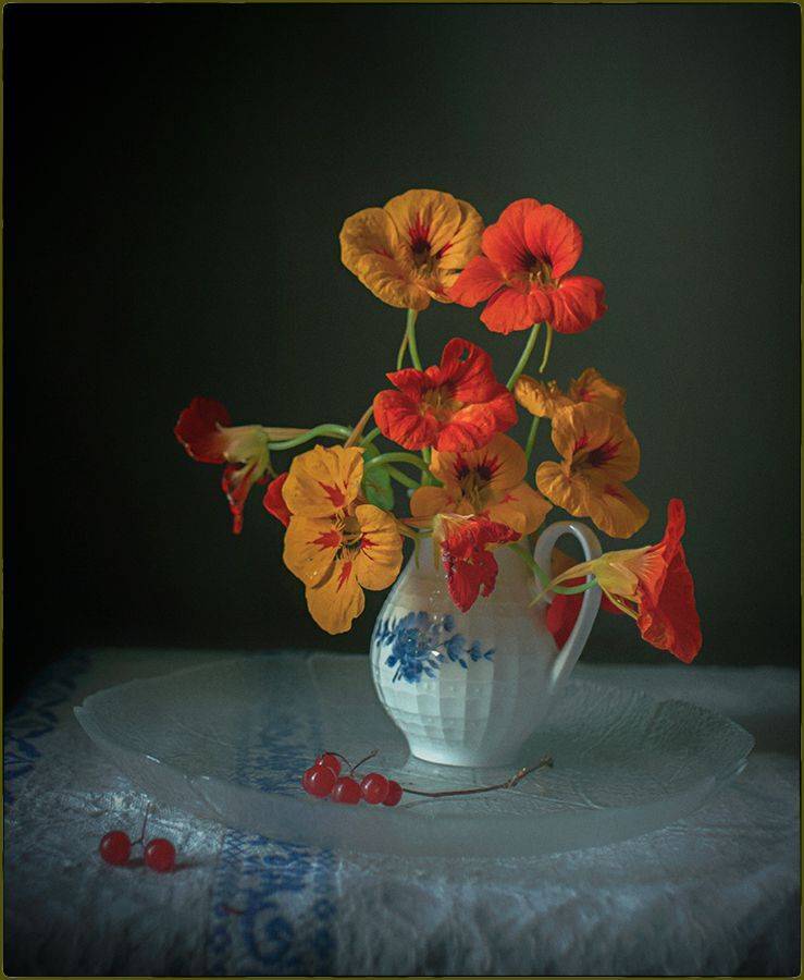 , Stein Georg