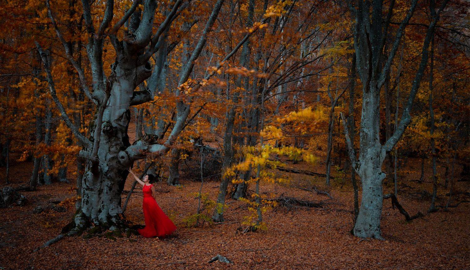 девушка, лес, крым, демерджи, осень, золотая, красное, платье, girl, crimea, forest, demerdji, forest, ladyinred, Александр