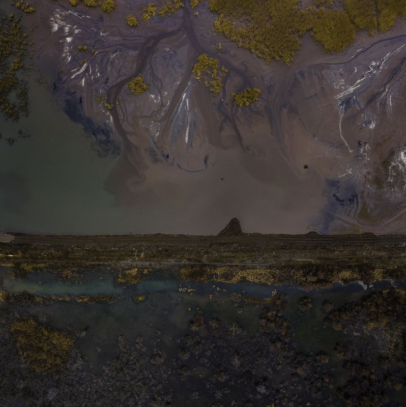 Alien World фото превью