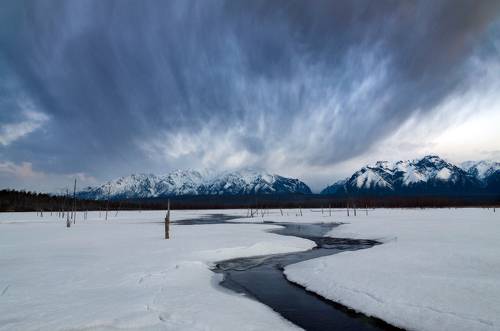 апокалипсис сегодня
