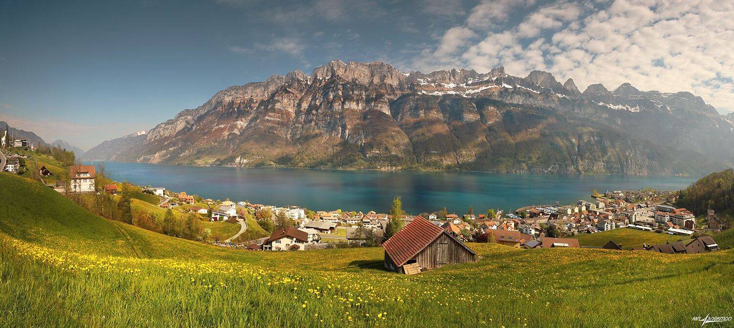 swiss, Матвеев Николай