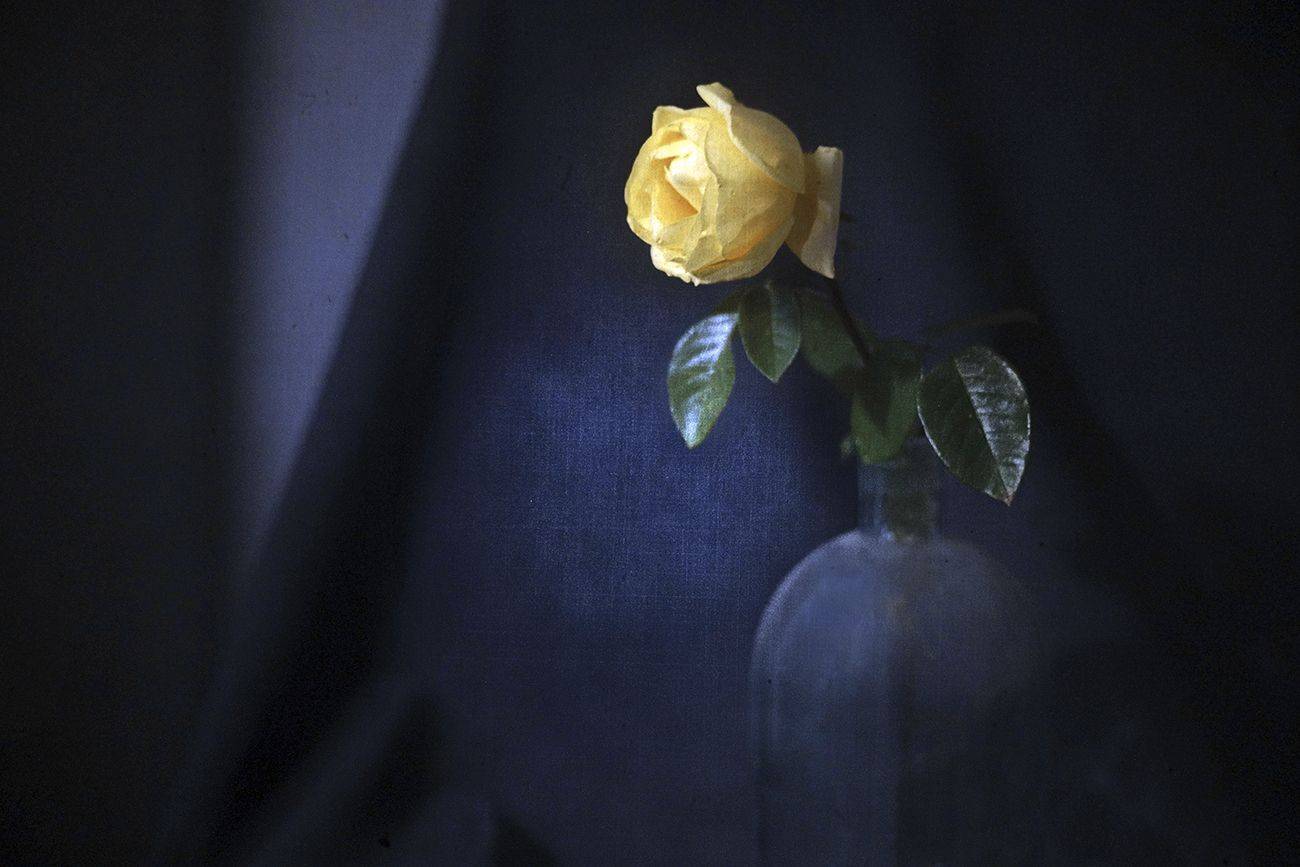 , Татьяна Аверина