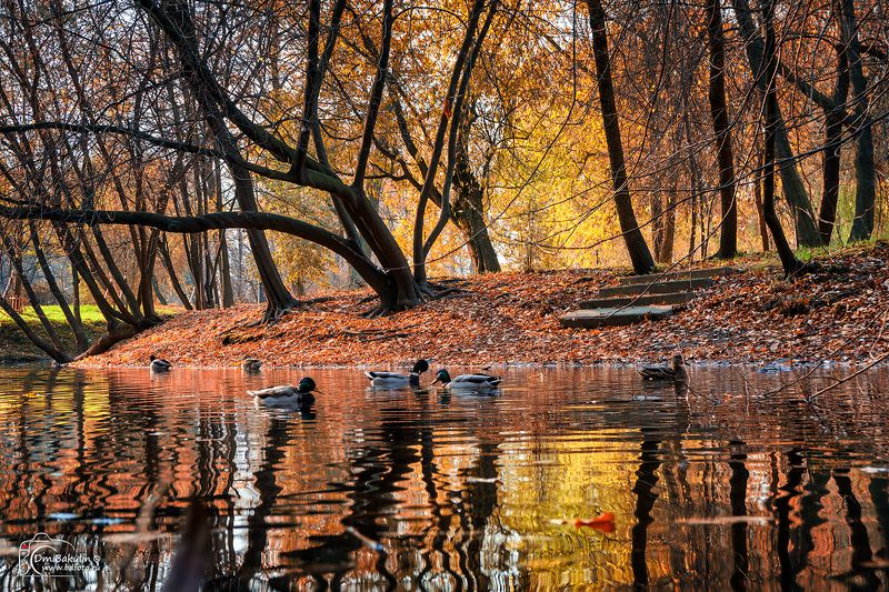 Парк Екатерингоф фото превью
