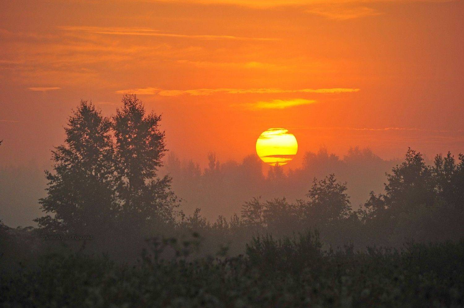 пейзаж, природа,солнце,рассвет,утро,туман,россия,псковская область, Юрий Яковлев