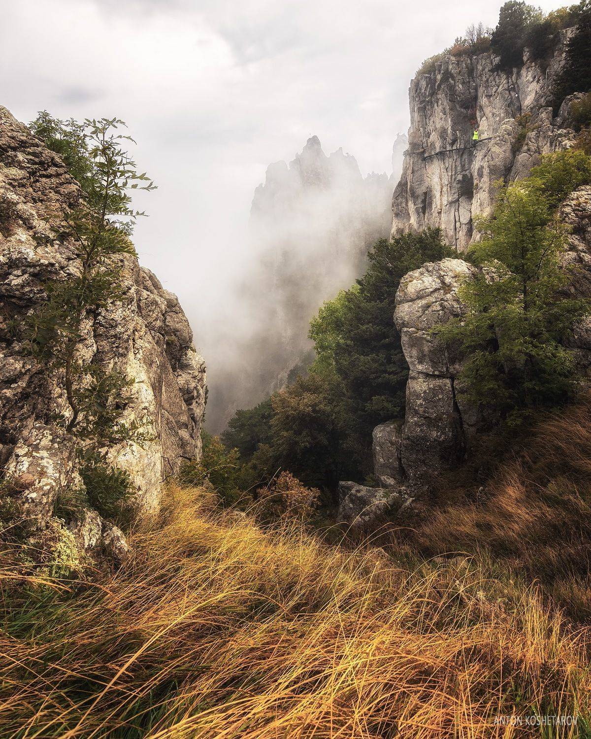 , Антон Кошетаров