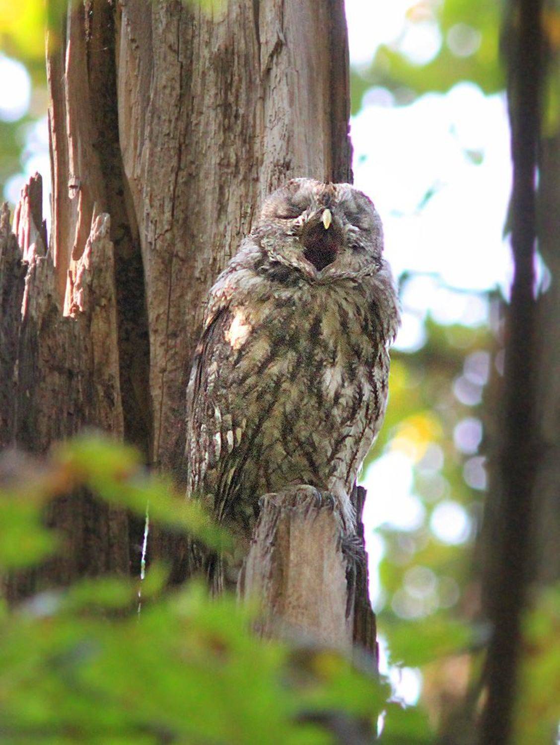 , Михаил Крюков