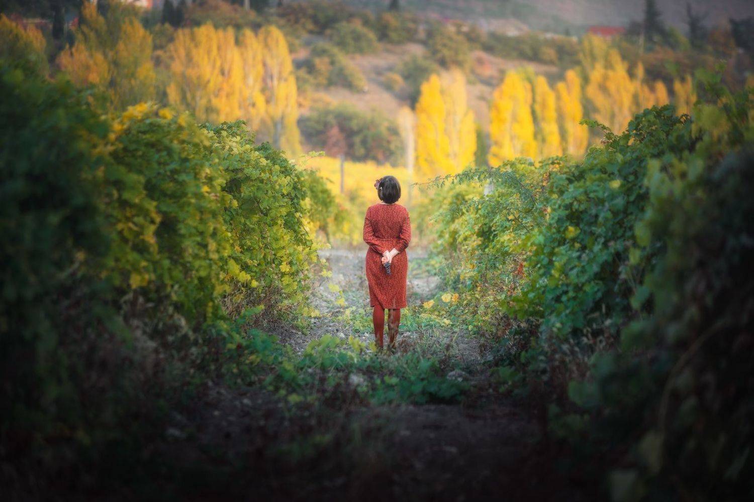 , Алексей Агеев