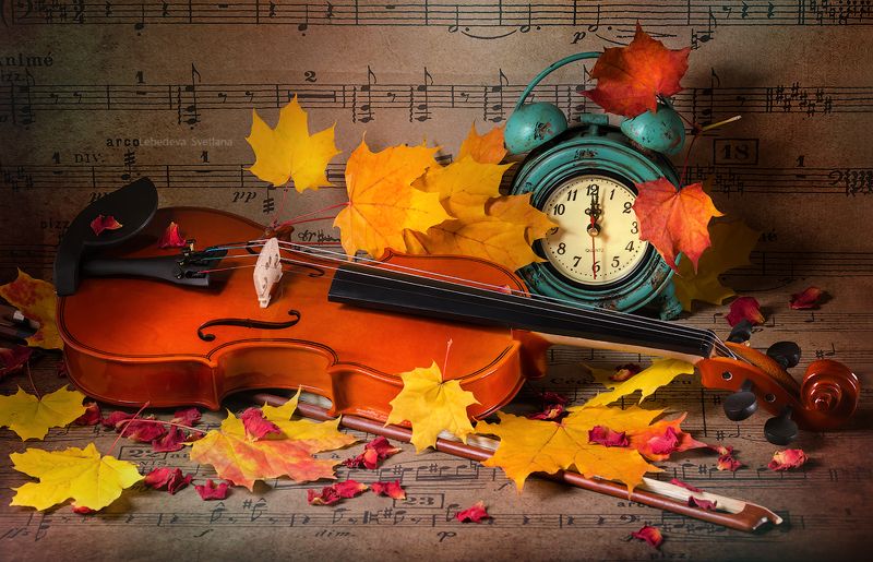 осень,листья,скрипка Осенняя фото превью
