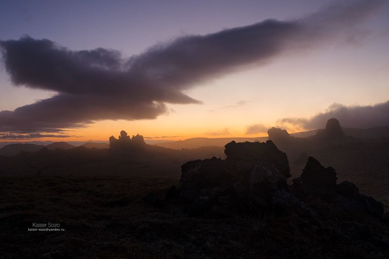 Парящий орёл фото превью