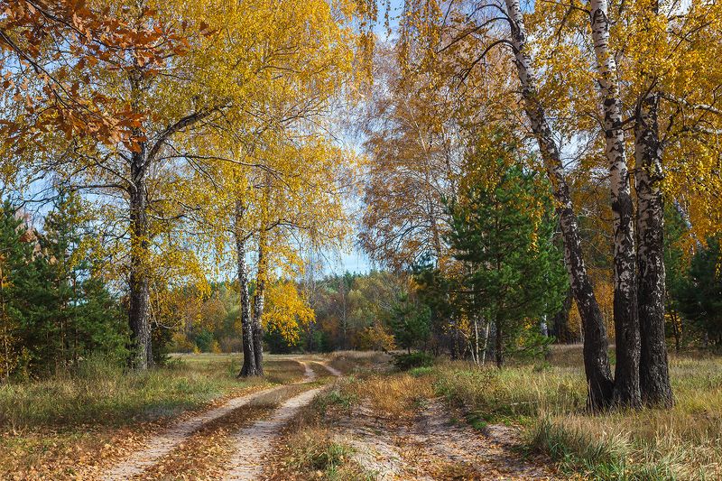 осень, октябрь  фото превью