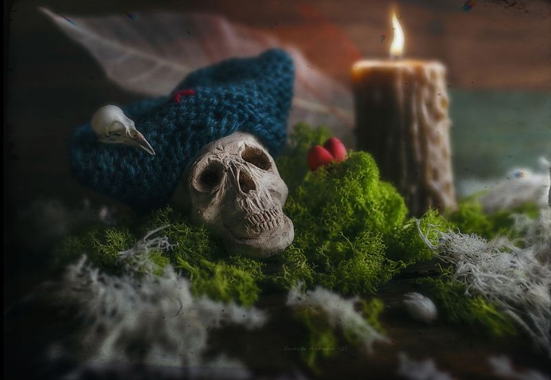 день 31* фото превью