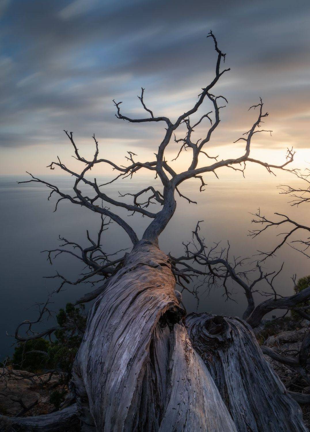 , Михаил Гапонов