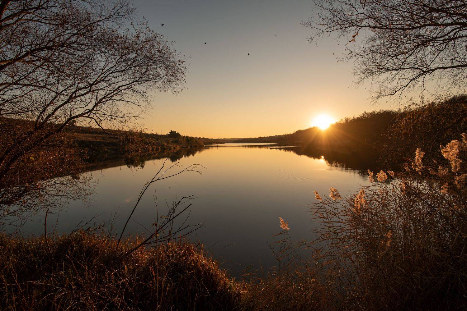 , Чистаев Александр