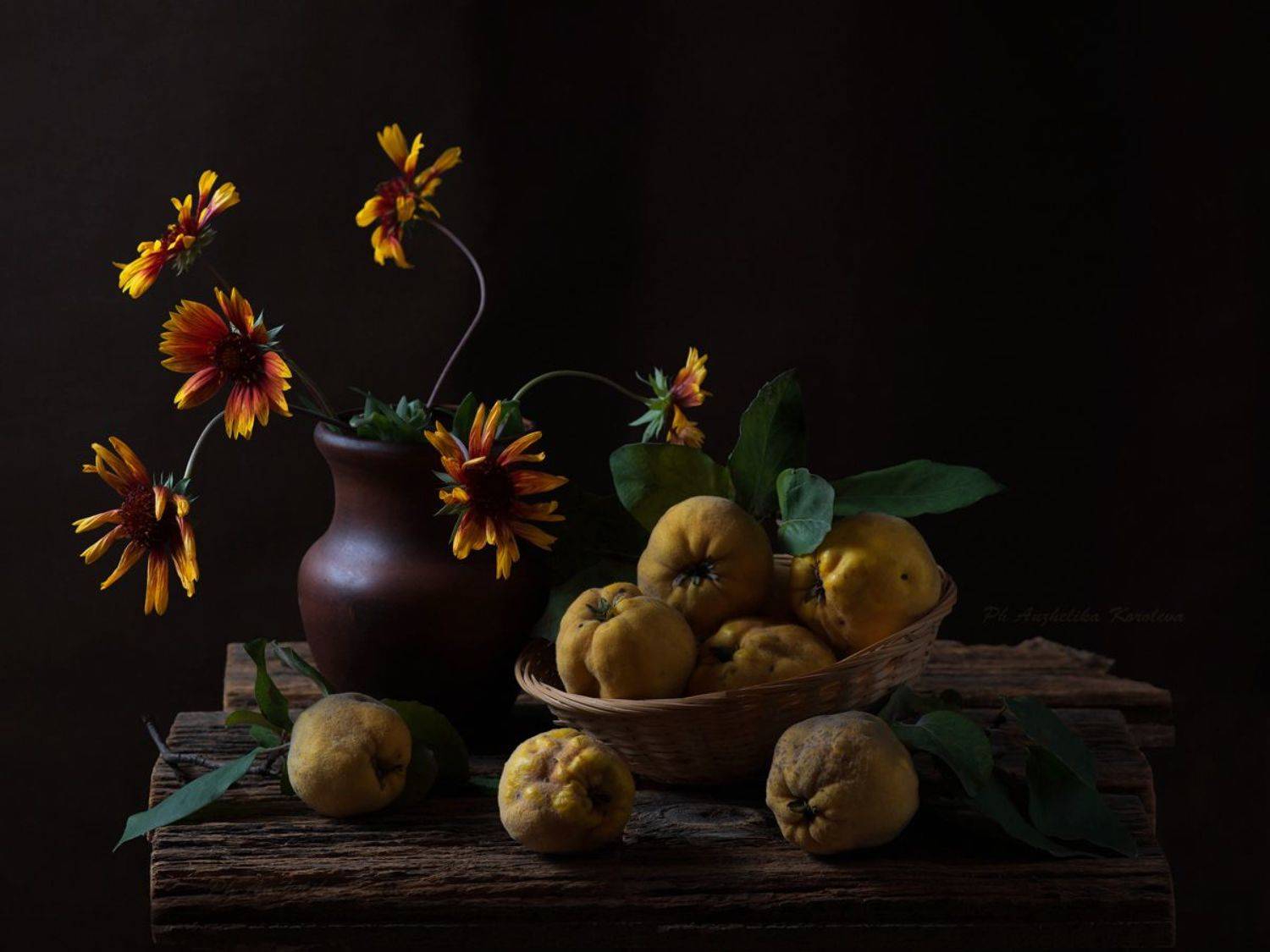 , Анжелика Королева