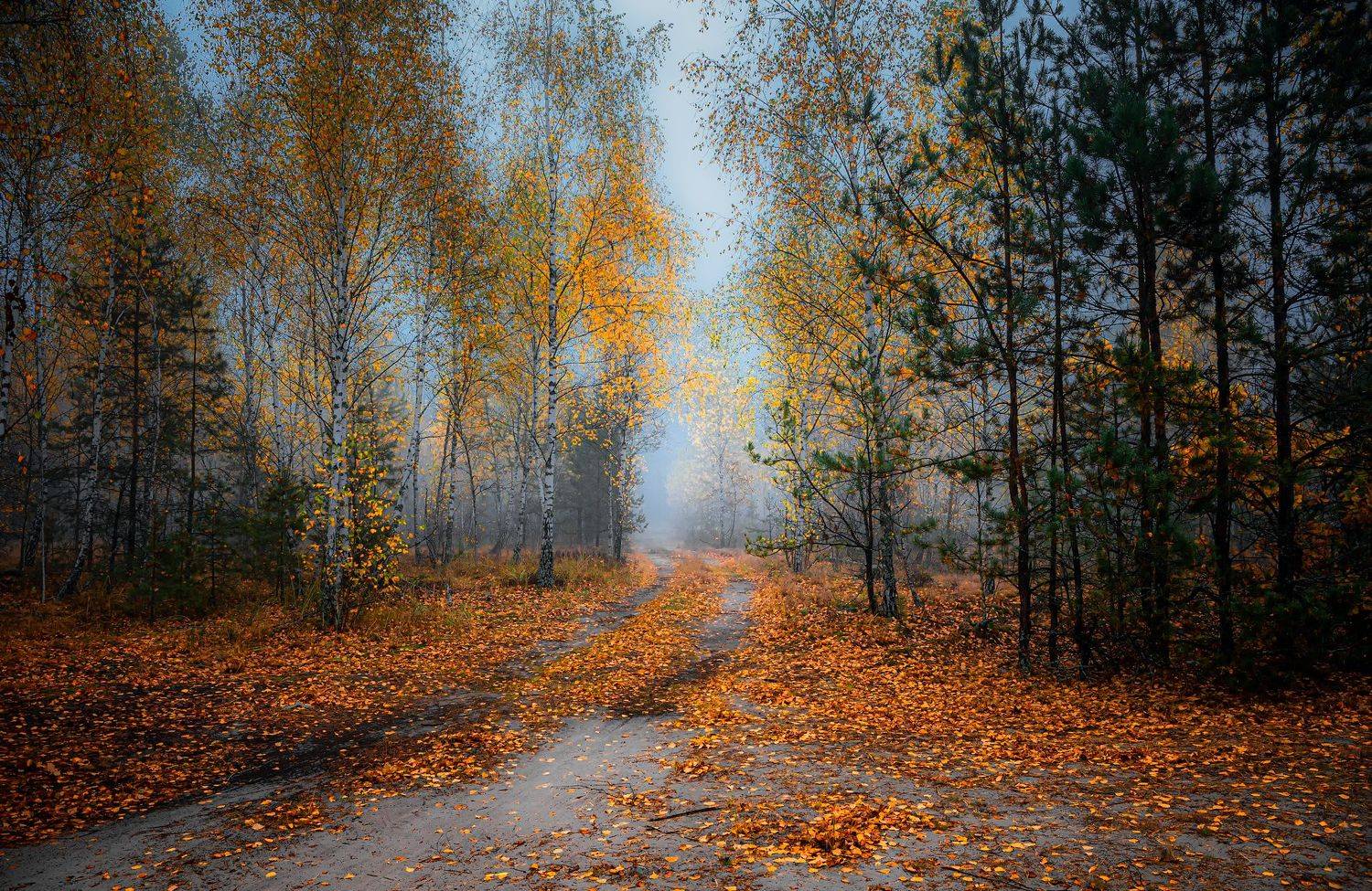 , Руслан Авдевич