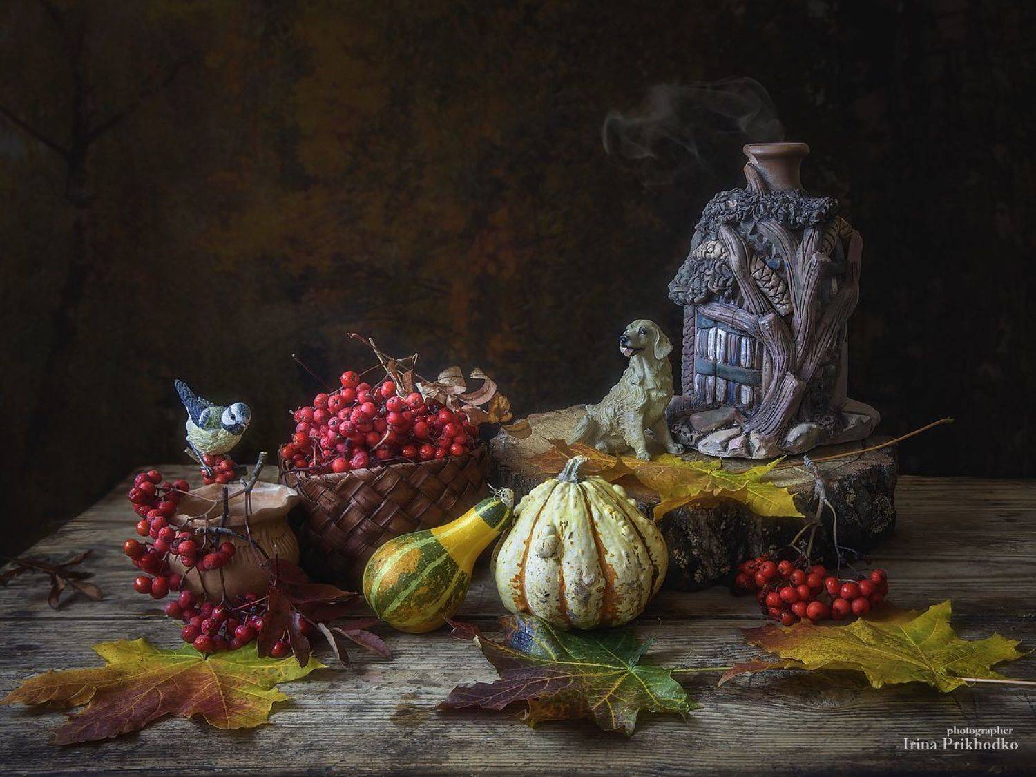 натюрморт, осень, рябина, тыквы, Ирина Приходько