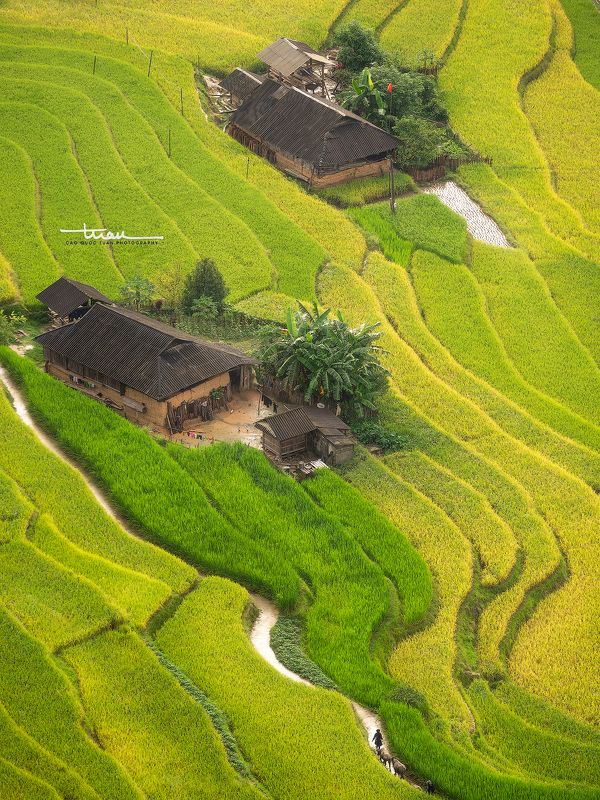 Ban Phung  06 фото превью