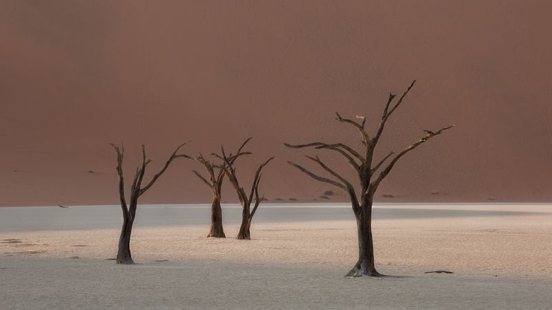 #Deadvley Valley #Valley #namibia #africa #duna #tree #дедвлей  #африка  #деревья  #намибия #дюна #песок #мертвые деревья  фото превью