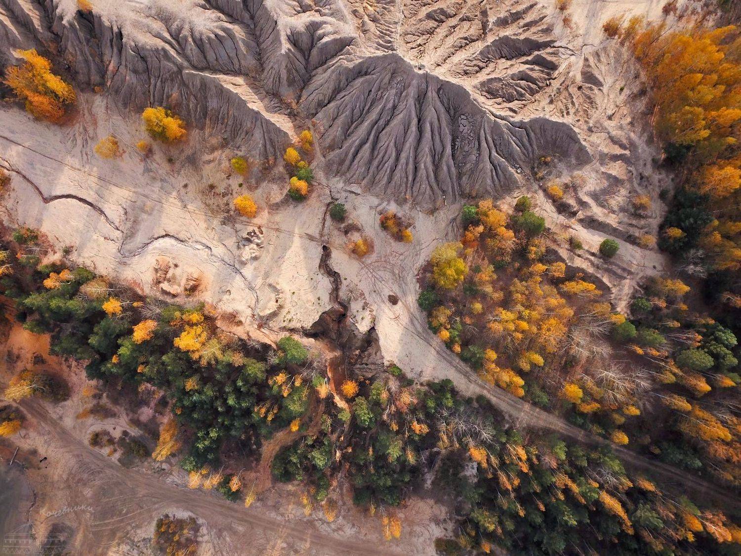 осень, осенний пейзаж, тульская область, dronephoto, Юлия Абрамова