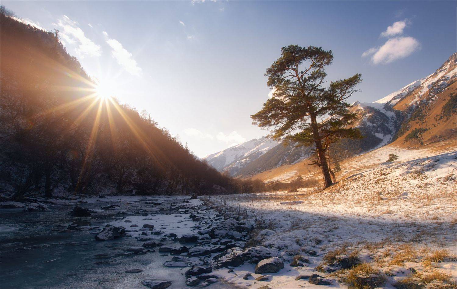 , Алексей Богорянов