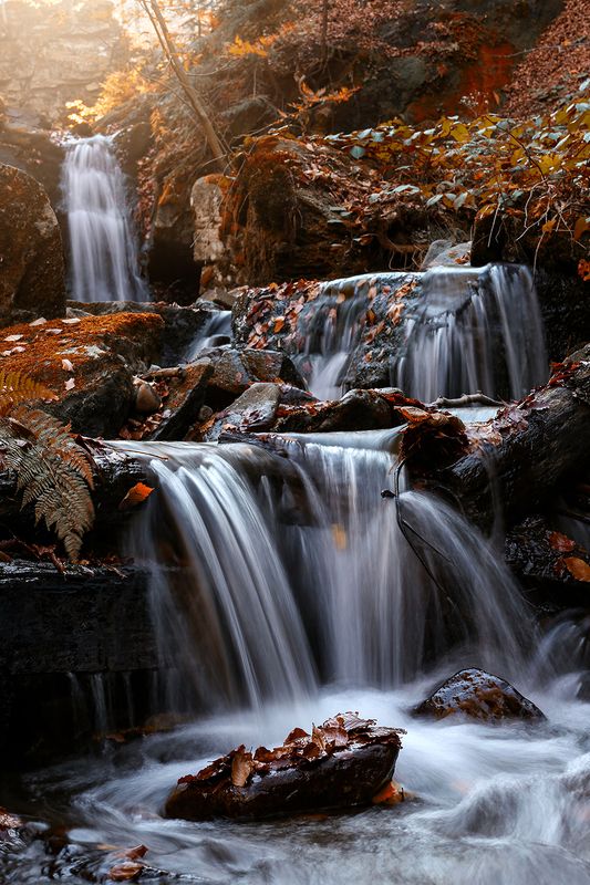 Autumn фото превью