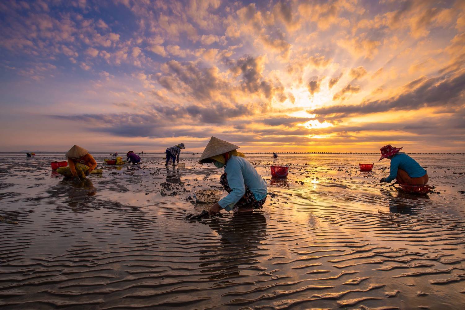 , vannguyenhop29@gmail.com