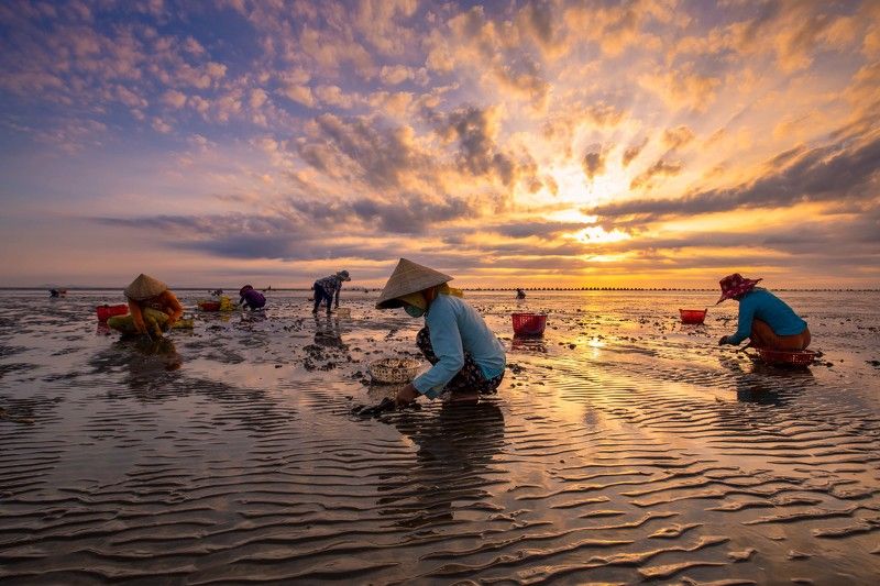 cào Nghêu фото превью