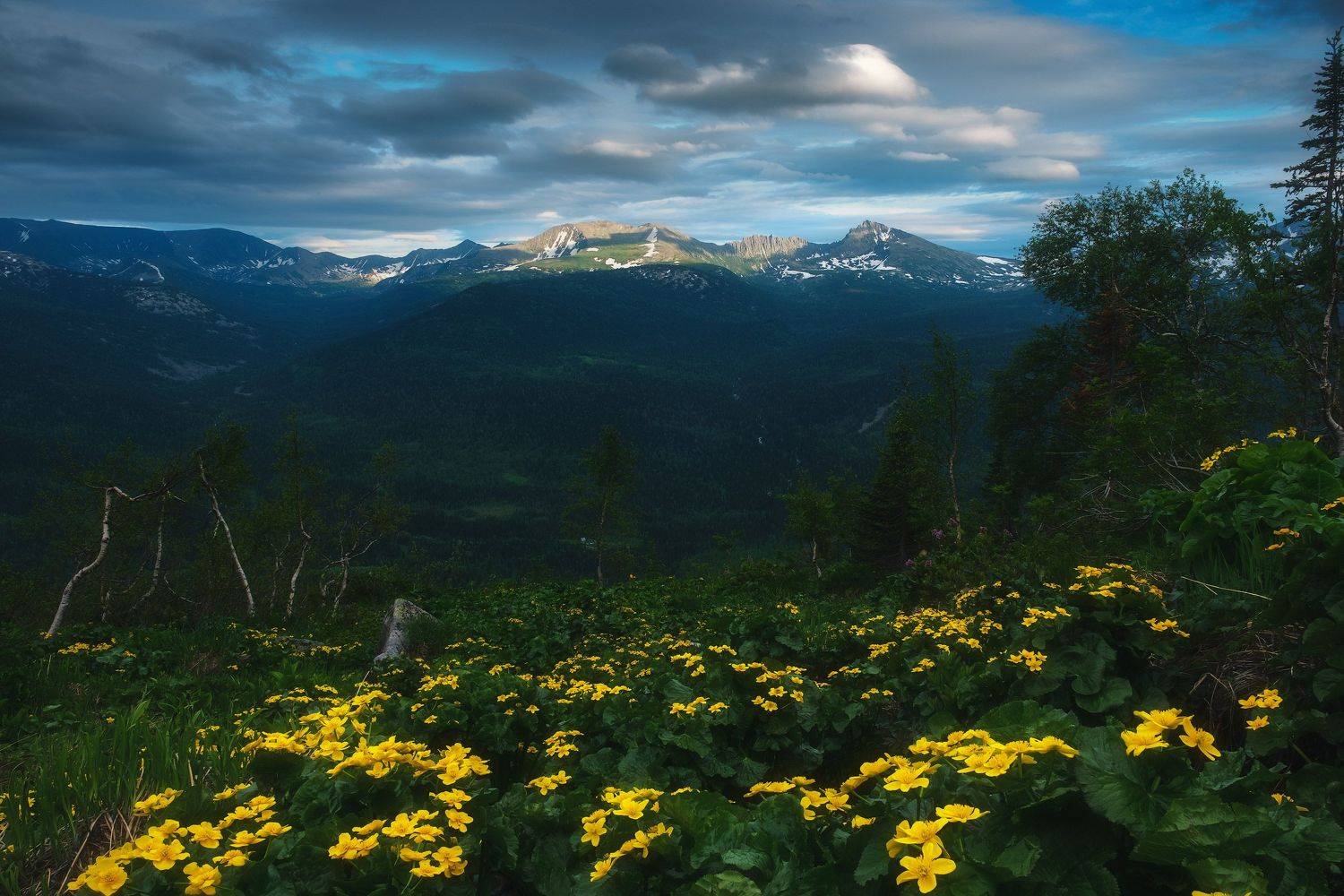 россия, кемеровская область, кузнецкий алатау, поднебесные зубья, тигир-тиш, хребет, сибирь, весна, пейзаж, природа, закат, Оборотов Алексей